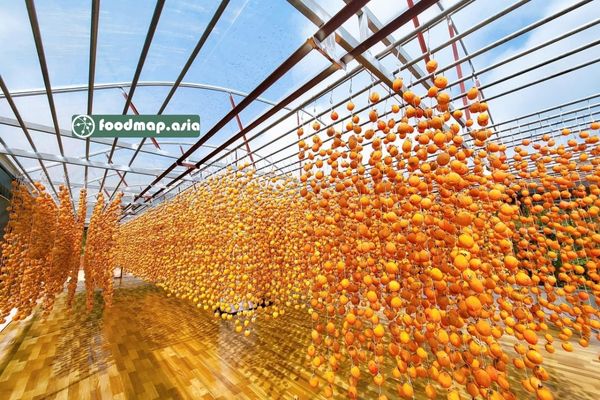 vuon-hong-dat-lat