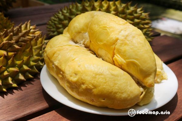 sau-rieng-thai