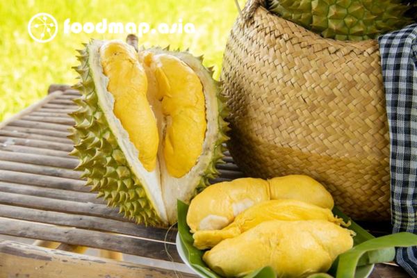 ngan ngua thieu mau