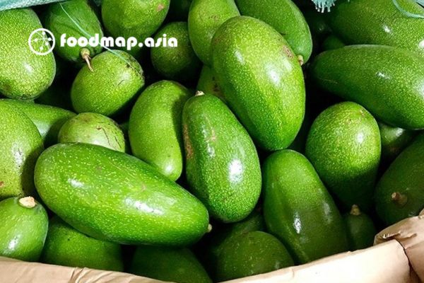bo-ma-duong-loai-1