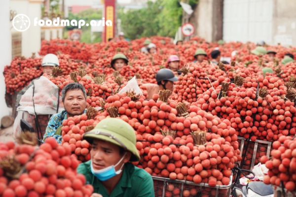 khong nen an vai truoc ky den do
