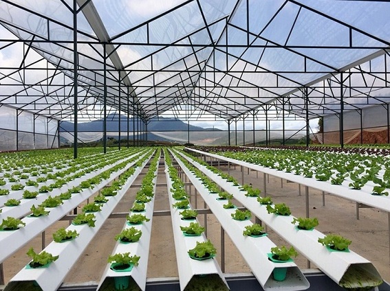 agritech