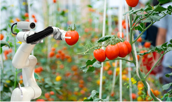 agritech-tu-dong-hoa