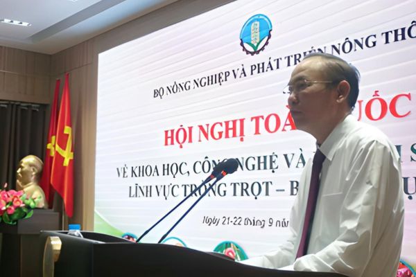 anh 1