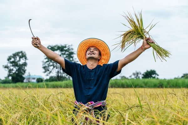 Xuất khẩu