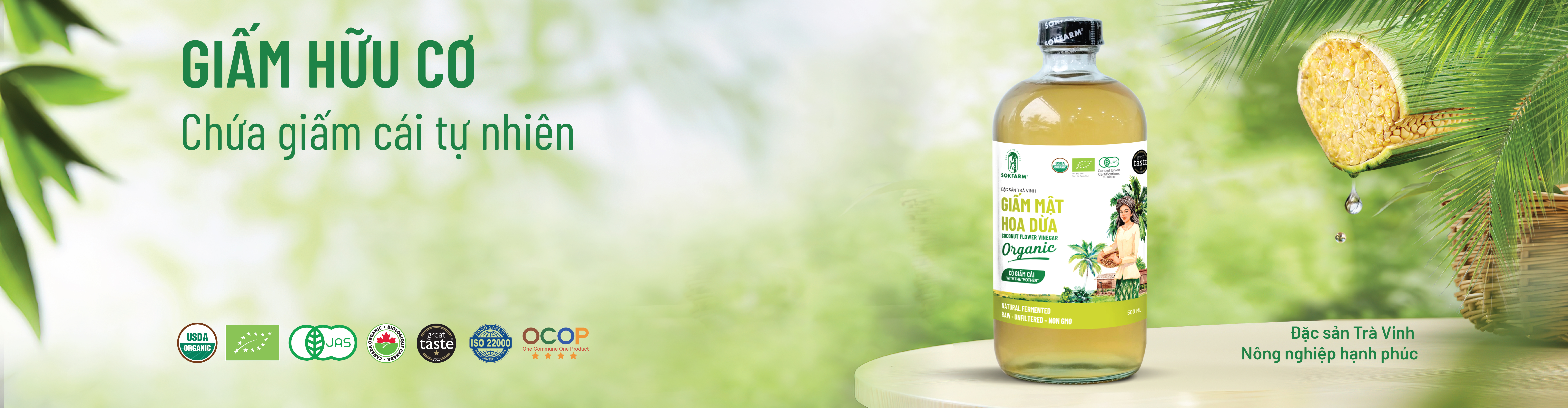 bannerfull