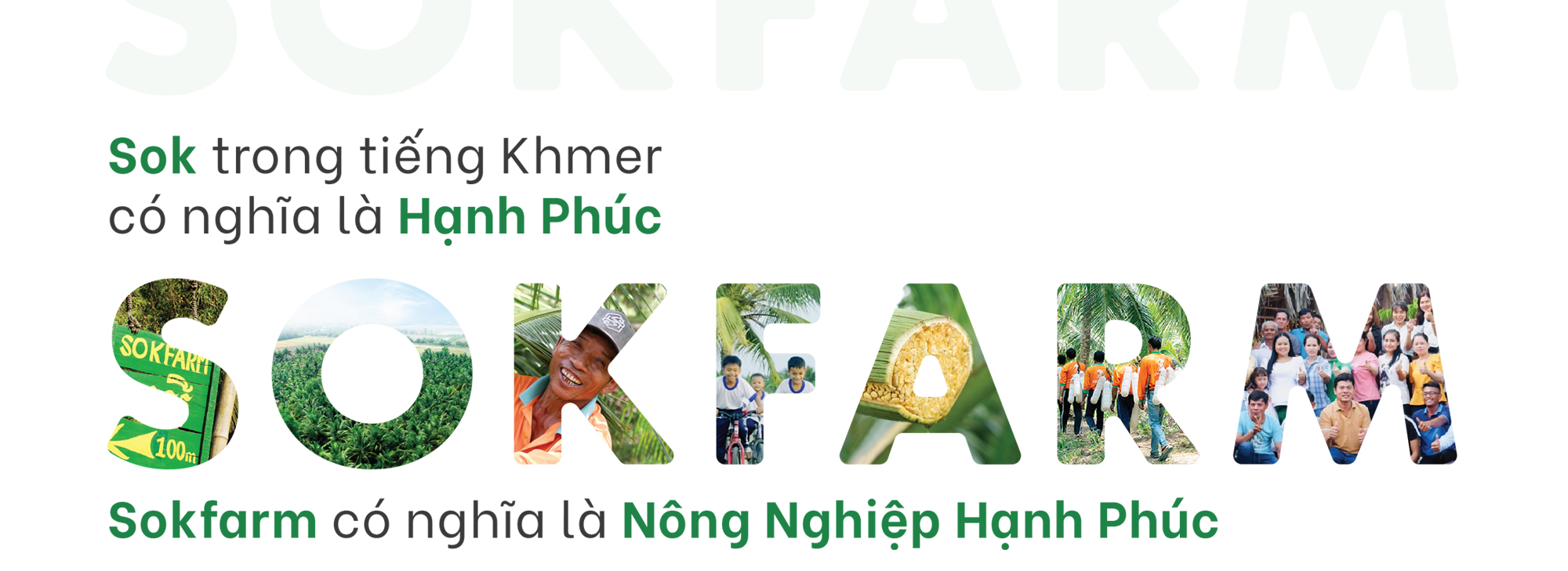 Banner Top Mobile