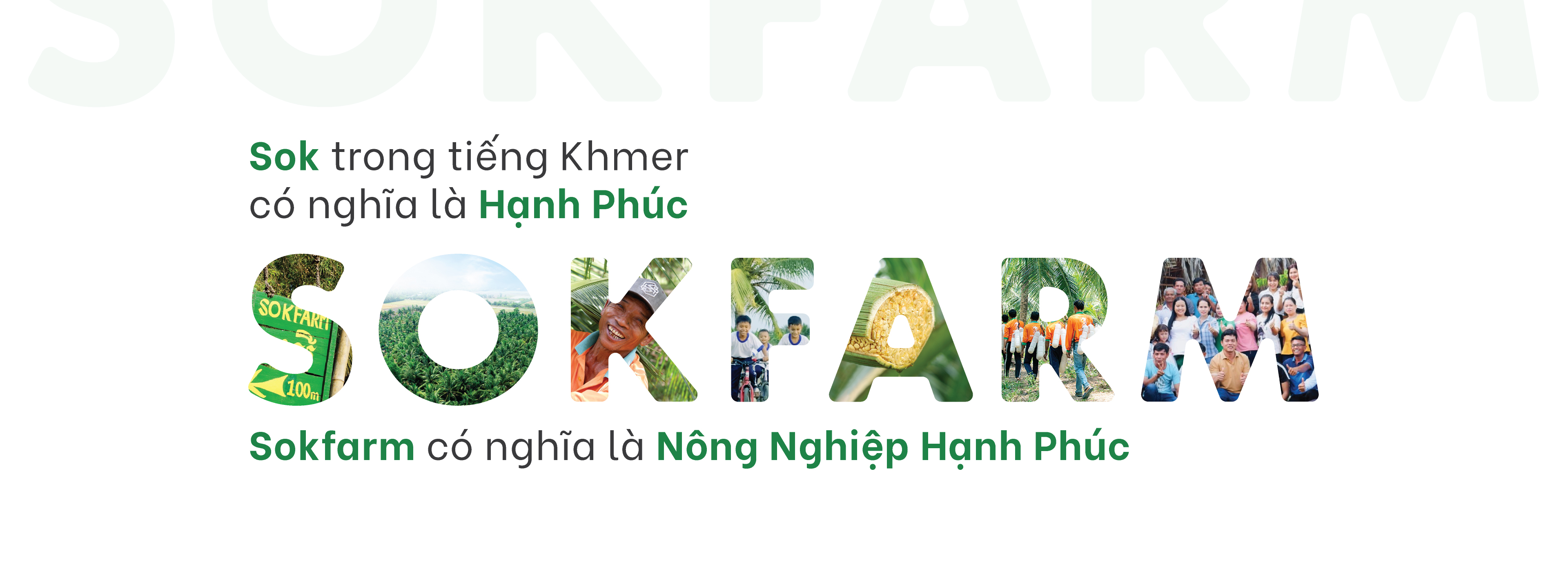 Banner Top