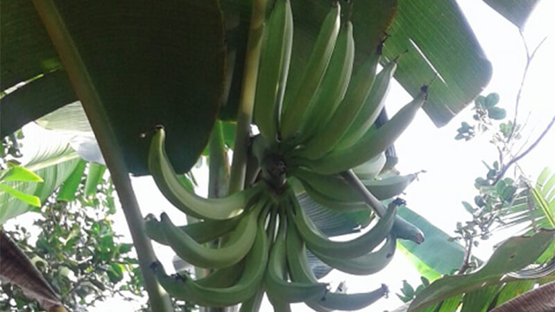 Blog Image post
